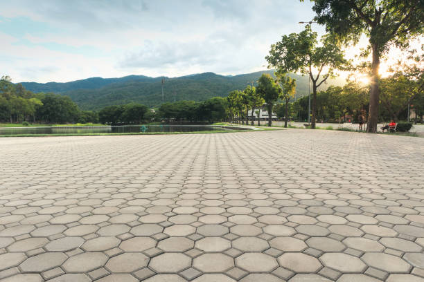 Best Residential Paver Driveway  in Hendersonville, NC