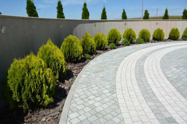 Reasons to Select Us for Your Driveway Paving Requirements in Hendersonville, NC